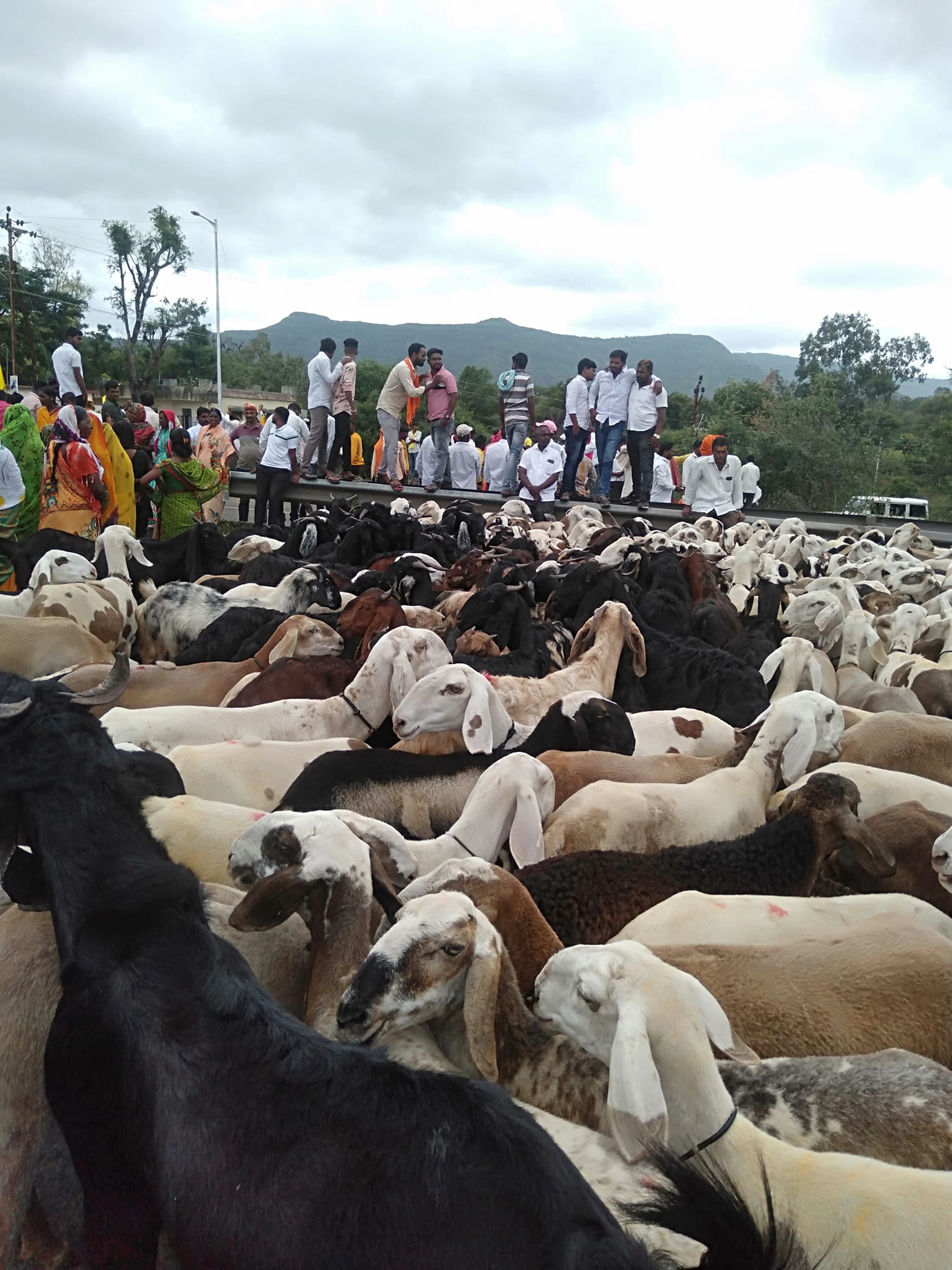 धनगर आरक्षण